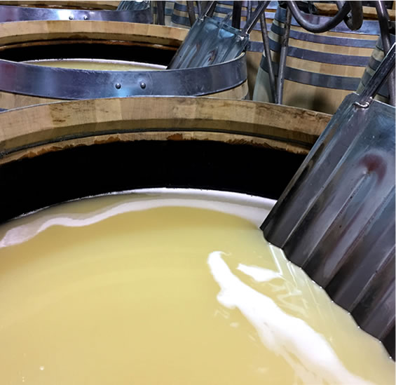 Fermentación blancos