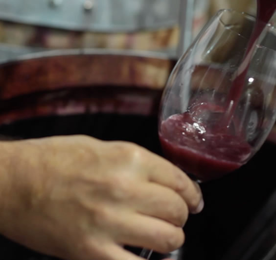 Fermentación tintos