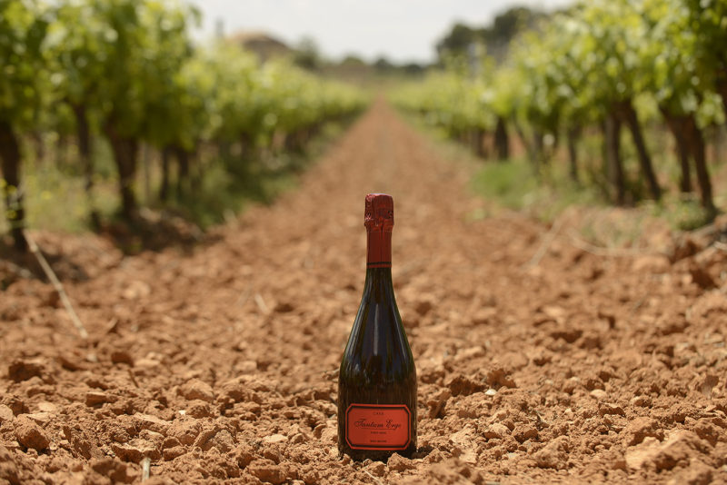 Tantum Ergo, de nuevo Mejor Cava Rosé de España para Peñín