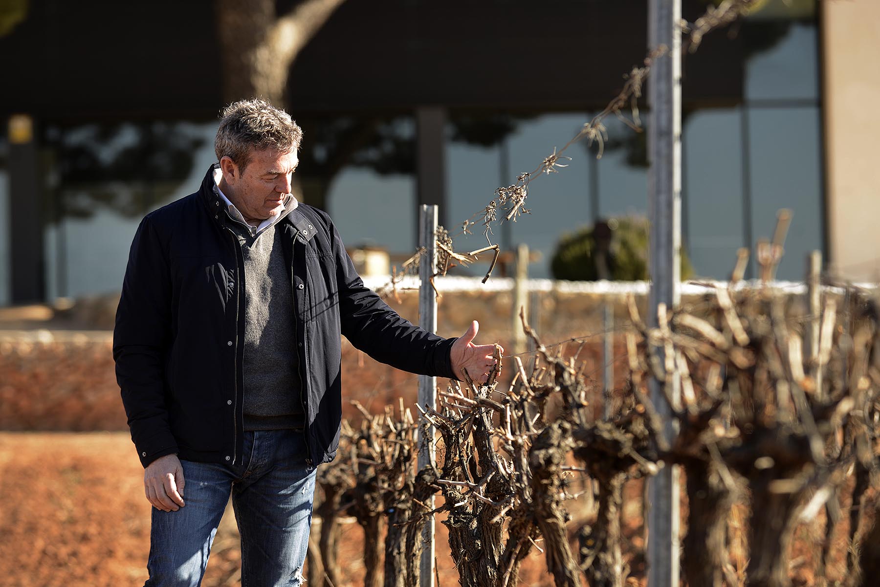 La poda: primeros trazos de un enorme lienzo