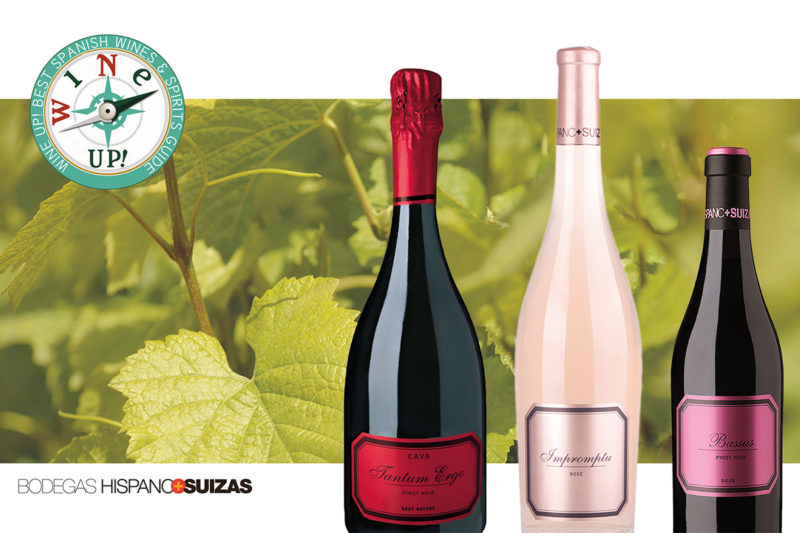El mejor pinot noir de España sigue siendo de Hispano Suizas