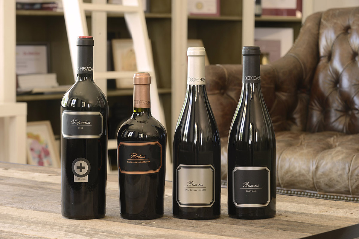 ‘Dibujando’ nuestros vinos tintos 2020