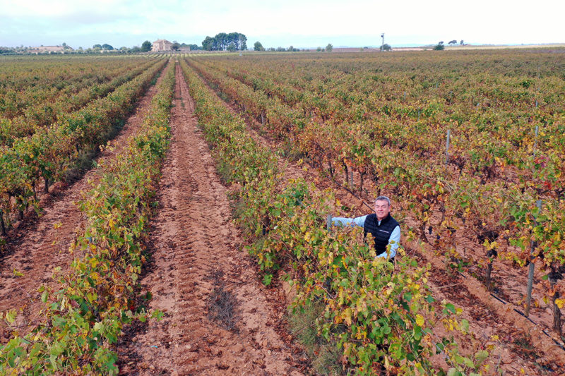 Hispano Suizas cierra con éxito la vendimia 2021
