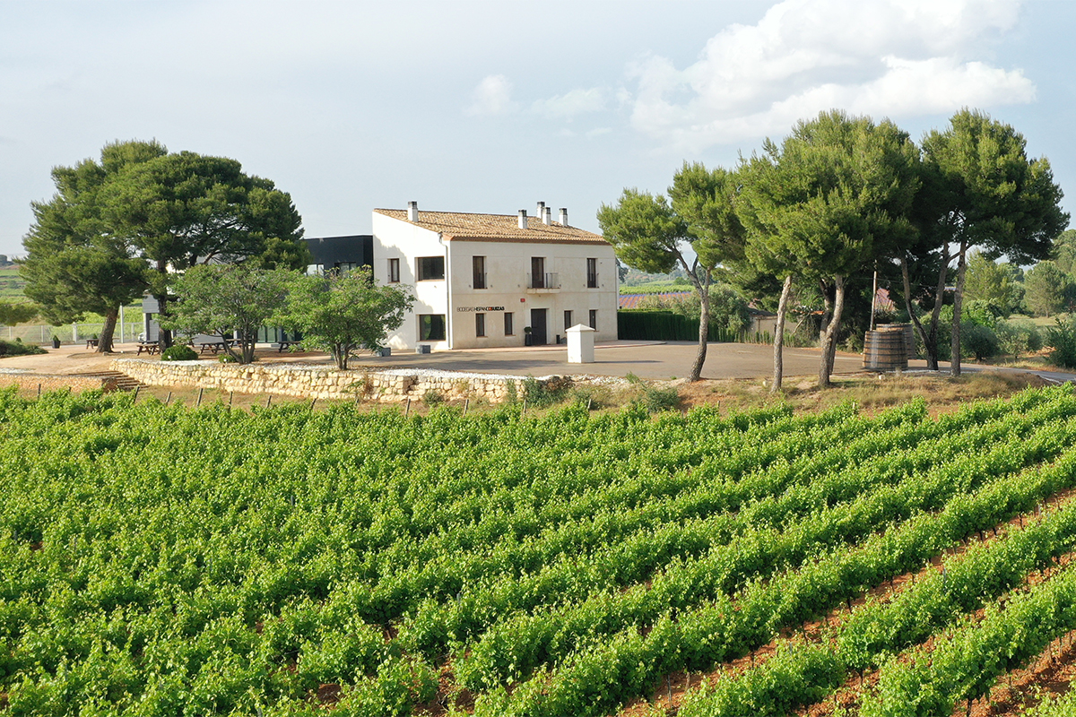 Ven a disfrutar de nuestras Jornadas de Puertas Abiertas 2021