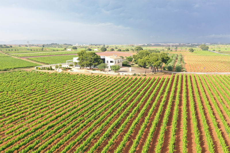 Jornadas de Puertas Abiertas 2022 en Hispano Suizas