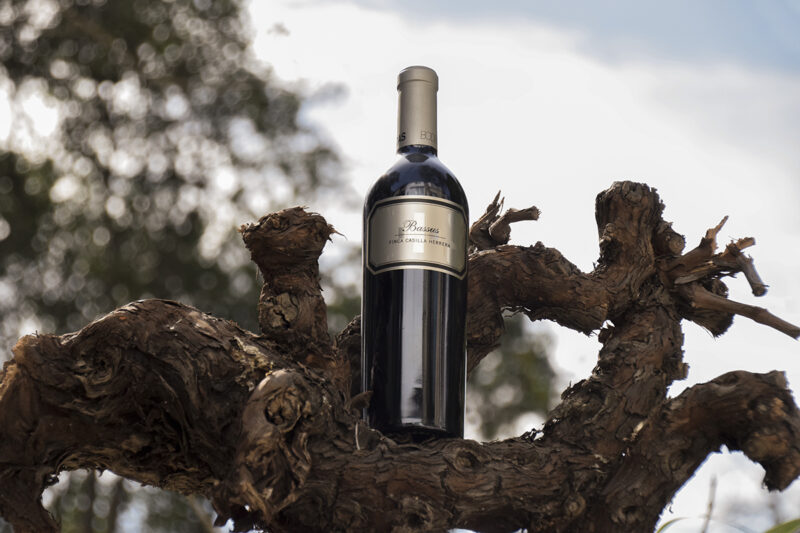 El Bassus Casilla Herrera gana en elegancia y finura con su nueva cosecha