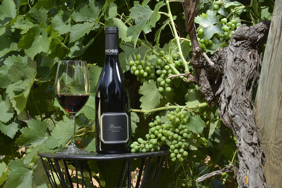 El Bassus Pinot Noir de Hispano, Oro en Suecia y mejor tinto de menos de 300 coronas