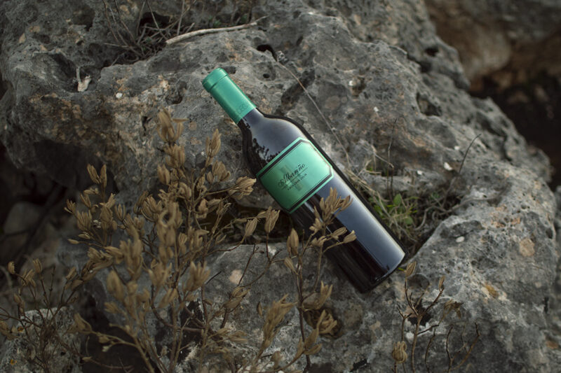 Finca Casa Julia, primer albariño mediterráneo de altura de España con DOP Utiel-Requena