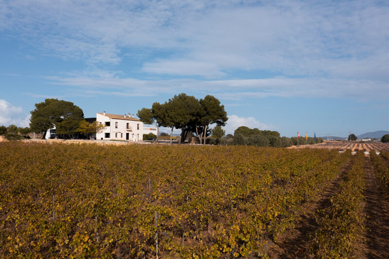 Jornadas de Puertas Abiertas 2024 en Hispano Suizas